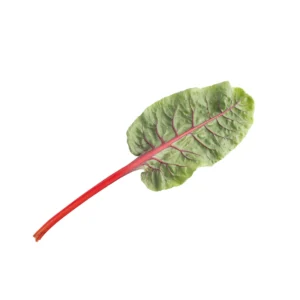 Acelga roja