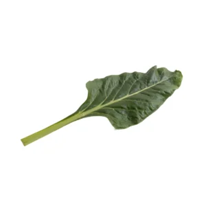 Acelga verde