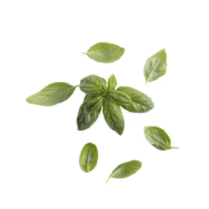 Albahaca verde