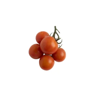 Tomate cherry