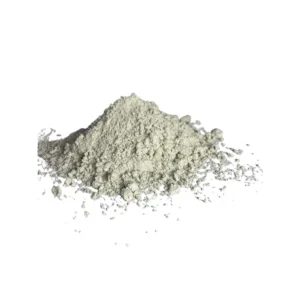 TIERRA DIATOMEA